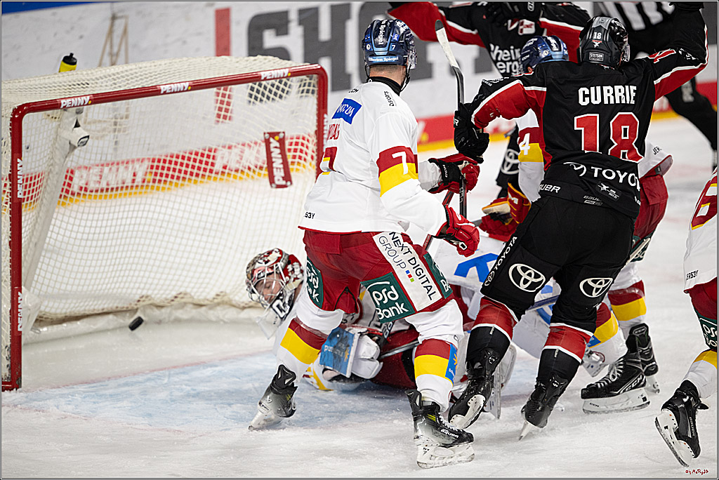 PENNY DEL 1; Kölner Haie - Düsseldorfer EG ; Köln, 16.02.2025